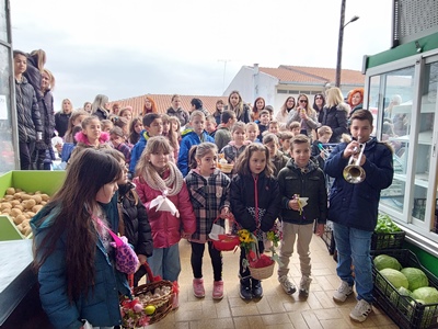 dimsxoleiolaginonlazaros.3