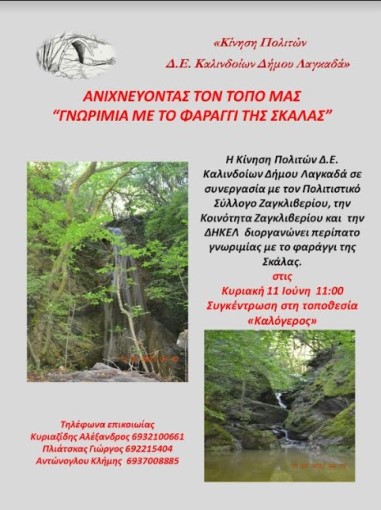 faraggi 1