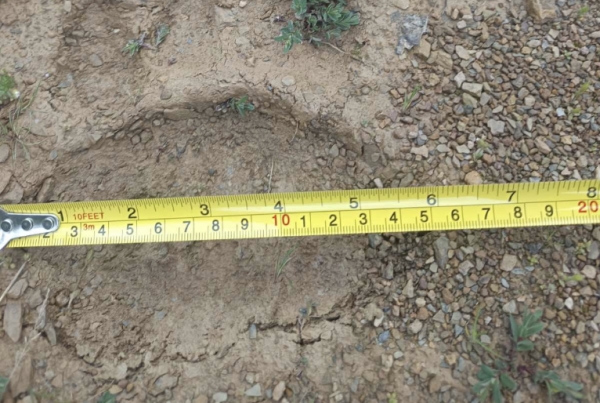 &epsilon;&mu;&phi;ά&nu;&iota;&sigma;&eta; &alpha;&rho;&kappa;&omicron;ύ&delta;&alpha;&sigmaf;