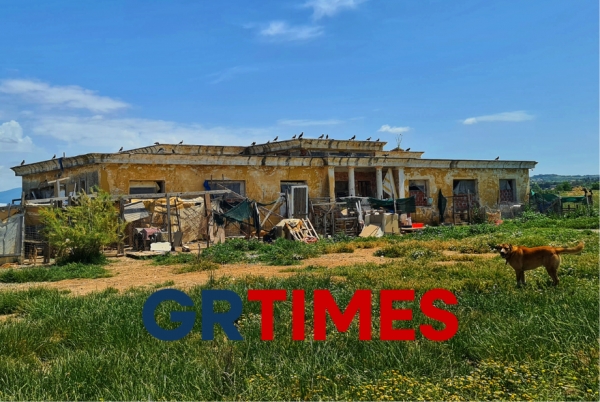 &mu;&epsilon;&tau;&alpha;&phi;&omicron;&rho;ά &tau;&omega;&nu; &alpha;&delta;έ&sigma;&pi;&omicron;&tau;&omega;&nu;