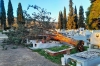 &Mu;&epsilon;&lambda;&iota;&sigma;&sigma;&omicron;&chi;ώ&rho;&iota; &kappa;&omicron;&iota;&mu;&eta;&tau;ή&rho;&iota;&alpha;