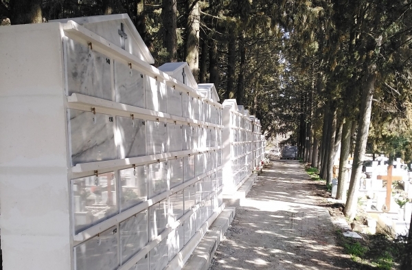 &omicron;&sigma;&tau;&epsilon;&omicron;&phi;&upsilon;&lambda;ά&kappa;&iota;&alpha; &lambda;&alpha;&gamma;&kappa;&alpha;&delta;ά