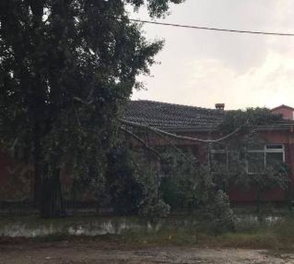 &Kappa;&Upsilon;&Mu;&Alpha; &Kappa;&Alpha;&Kappa;&Omicron;&Kappa;&Alpha;&Iota;&Rho;&Iota;&Alpha;&Sigma; &Epsilon;&Pi;&Lambda;&Eta;&Xi;&Epsilon; &Tau;&Omicron;&Nu; &Lambda;&Alpha;&Gamma;&Kappa;&Alpha;&Delta;&Alpha; (photos)