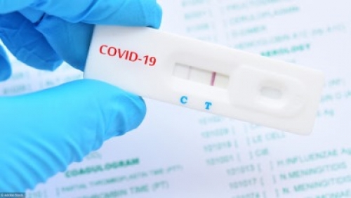 rapid test  Ό&sigma;&sigma;&alpha;