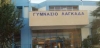 1&omicron; &Gamma;&upsilon;&mu;&nu;ά&sigma;&iota;&omicron; &Lambda;&alpha;&gamma;&kappa;&alpha;&delta;ά