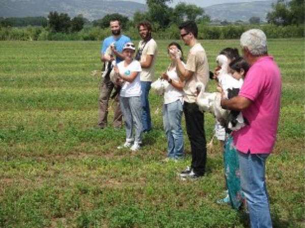 &Epsilon;&Upsilon;&Rho;&Omega;&Pi;&Alpha;Ϊ&Kappa;&Eta; &Gamma;&Iota;&Omicron;&Rho;&Tau;&Eta; &Pi;&Omicron;&Upsilon;&Lambda;&Iota;&Omega;&Nu; &Sigma;&Tau;&Eta; &Lambda;&Iota;&Mu;&Nu;&Eta; &Beta;&Omicron;&Lambda;&Beta;&Eta;