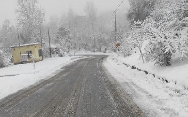 &Delta;&epsilon;&lambda;&tau;ί&omicron; &Epsilon;&pi;&iota;&delta;&epsilon;ί&nu;&omega;&sigma;&eta;&sigmaf; &Kappa;&alpha;&iota;&rho;&omicron;ύ
