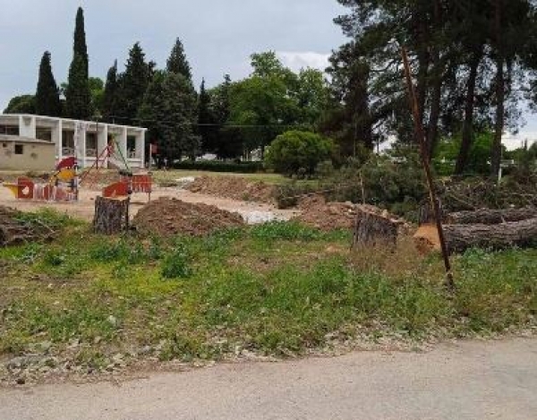 &delta;έ&nu;&delta;&rho;&alpha; &Mu;&pi;ί&lambda;&lambda;&epsilon;&iota;&omicron; &Pi;&omicron;&lambda;&iota;&tau;&iota;&sigma;&tau;&iota;&kappa;ό &Kappa;έ&nu;&tau;&rho;&omicron;