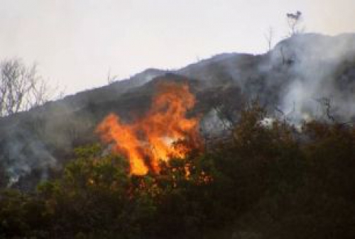 &Pi;&Upsilon;&Rho;&Kappa;&Alpha;&Gamma;&Iota;&Alpha; &Sigma;&Epsilon;  &Chi;&Alpha;&Mu;&Eta;&Lambda;&Eta; &Beta;&Lambda;&Alpha;&Sigma;&Tau;&Eta;&Sigma;&Eta; &Sigma;&Tau;&Eta;&Nu; &Kappa;&Rho;&Iota;&Theta;&Iota;&Alpha;