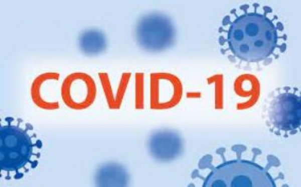 covid 19