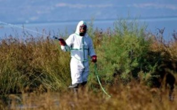 &Pi;&Rho;&Omicron;&Gamma;&Rho;&Alpha;&Mu;&Mu;&Alpha; &Kappa;&Alpha;&Tau;&Alpha;&Pi;&Omicron;&Lambda;&Epsilon;&Mu;&Eta;&Sigma;&Eta;&Sigma; &Kappa;&Omicron;&Upsilon;&Nu;&Omicron;&Upsilon;&Pi;&Iota;&Omega;&Nu;