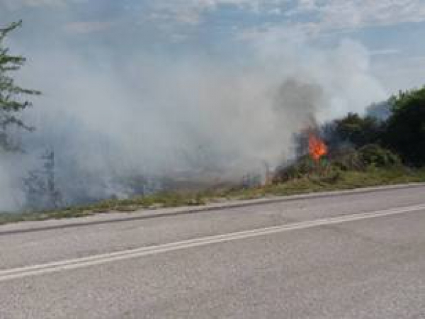 &Tau;&Epsilon;&Theta;&Eta;&Kappa;&Epsilon; &Upsilon;&Pi;&Omicron; &Epsilon;&Lambda;&Epsilon;&Gamma;&Chi;&Omicron; &Phi;&Omega;&Tau;&Iota;&Alpha; &Sigma;&Tau;&Eta;&Nu; &Pi;&Epsilon;&Rho;&Iota;&Omicron;&Chi;&Eta; &Tau;&Eta;&Sigma; &Omicron;&Sigma;&Sigma;&Alpha;&Sigma;