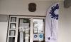 &sigma;&upsilon;&nu;&epsilon;&rho;&gamma;&alpha;&sigma;ί&alpha; &Delta;ή&mu;&omicron;&upsilon; &Beta;ό&lambda;&beta;&eta;&sigmaf; &laquo;&Omicron;&Rho;&Alpha;&Mu;&Alpha; &Epsilon;&Lambda;&Pi;&Iota;&Delta;&Alpha;&Sigma;&raquo;