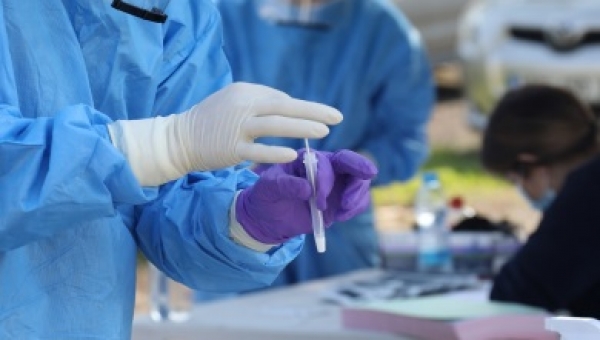 rapid test