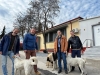 &Beta;&alpha;&gamma;&iota;&omicron;&chi;ώ&rho;&iota; &delta;&omicron;&mu;ή &pi;&rho;&omicron;&sigma;&phi;ύ&gamma;&omega;&nu;