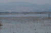 &Pi;&Alpha;&Rho;&Alpha;&Nu;&Omicron;&Mu;&Eta; &Alpha;&Lambda;&Iota;&Epsilon;&Iota;&Alpha; &Sigma;&Tau;&Eta; &Lambda;&Iota;&Mu;&Nu;&Eta; &Kappa;&Omicron;&Rho;&Omega;&Nu;&Epsilon;&Iota;&Alpha; (photo)