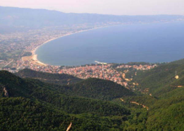 &Pi;ί&nu;&alpha;&kappa;&alpha;&sigmaf; &Theta;&epsilon;&rho;&iota;&nu;ώ&nu; &Delta;&rho;&omicron;&mu;&omicron;&lambda;&omicron;&gamma;ί&omega;&nu; &Kappa;&Tau;&Epsilon;&Lambda; &Nu;o&mu;&omicron;ύ &Theta;&epsilon;&sigma;/&nu;ί&kappa;&eta;&sigmaf; &gamma;&iota;&alpha; &Alpha;&sigma;&pi;&rho;&omicron;&beta;ά&lambda;&tau;&alpha;, &Nu;έ&alpha; &Beta;&rho;&alpha;&sigma;&nu;ά, &Sigma;&tau;&alpha;&upsilon;&rho;ό &kappa;&alpha;&iota; &Omicron;&lambda;&upsilon;&mu;&pi;&iota;ά&delta;&alpha;