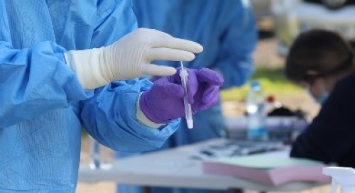 rapid test