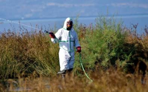 &Pi;&Rho;&Omicron;&Gamma;&Rho;&Alpha;&Mu;&Mu;&Alpha; &Kappa;&Alpha;&Tau;&Alpha;&Pi;&Omicron;&Lambda;&Epsilon;&Mu;&Eta;&Sigma;&Eta;&Sigma; &Kappa;&Omicron;&Upsilon;&Nu;&Omicron;&Upsilon;&Pi;&Iota;&Omega;&Nu;