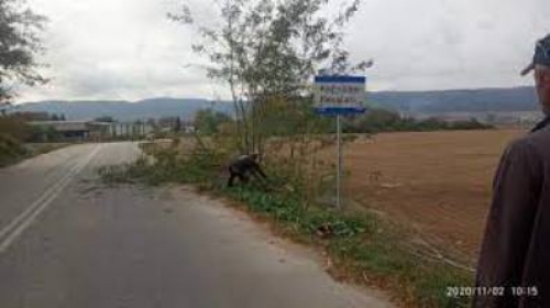 &Kappa;&Omicron;&Iota;&Nu;&Omicron;&Tau;&Eta;&Tau;&Alpha; &Kappa;&Alpha;&Beta;&Alpha;&Lambda;&Alpha;&Rho;&Iota;&Omicron;&Upsilon;