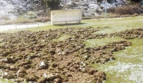&alpha;&gamma;&rho;&iota;&omicron;&gamma;&omicron;ύ&rho;&omicron;&upsilon;&nu;&alpha; &gamma;ή&pi;&epsilon;&delta;&omicron; &Sigma;&tau;&alpha;&upsilon;&rho;&omicron;ύ